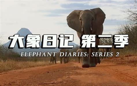 大象传媒 dxav-0075 大象号第二季  33